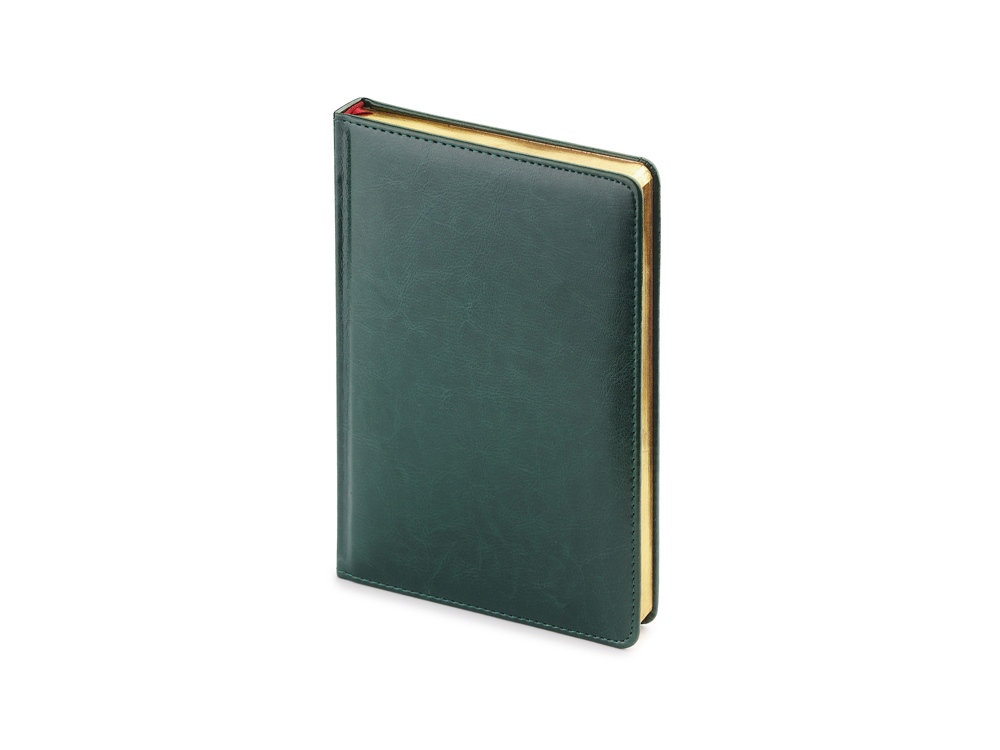 Ежедневник недатированный А5 Sidney Nebraska, зеленый (золотой обрез)-0