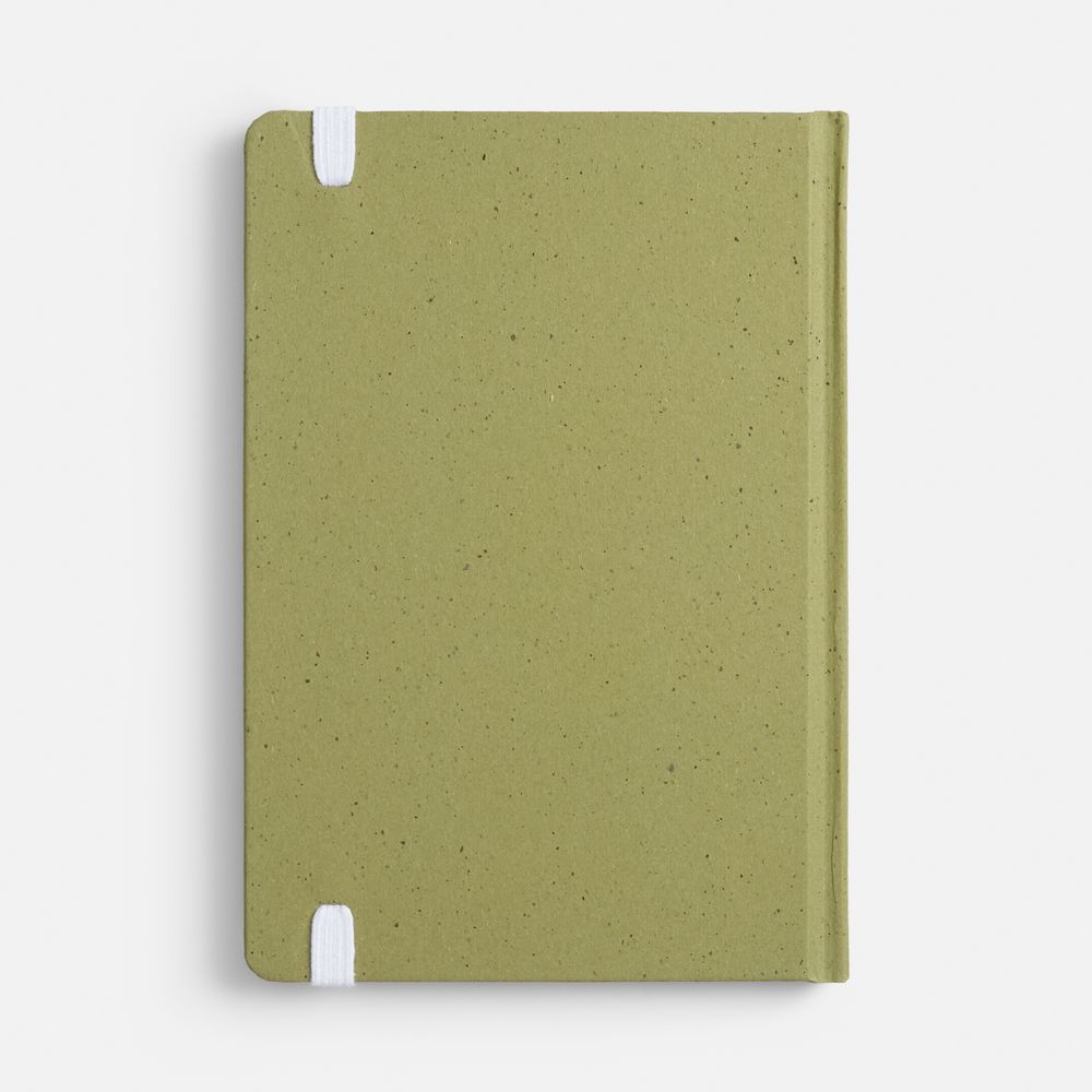 Блокнот Lactonica, зеленый-2