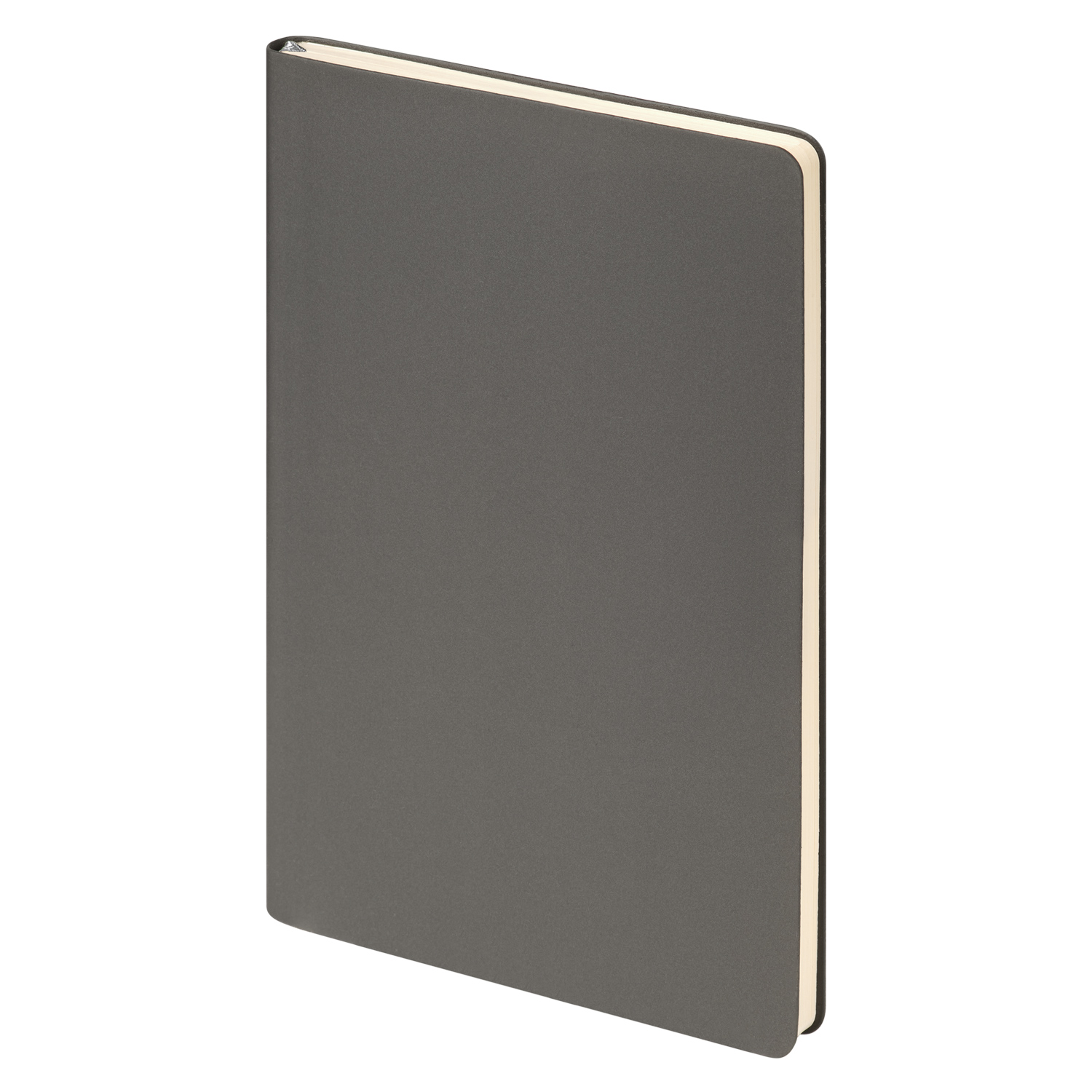 Ежедневник Стар (Star) недатированный, серый (с упаковкой, со стикерами)-3