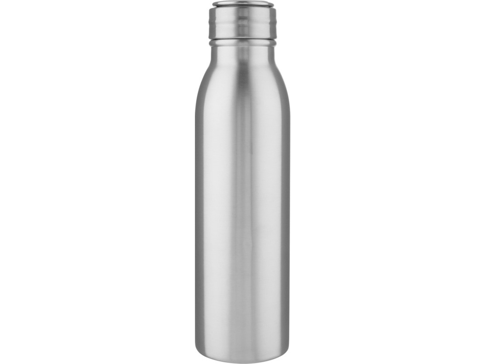 Harper, спортивная бутылка из нержавеющей стали объемом 700 мл с металлической петлей, серебристый-1