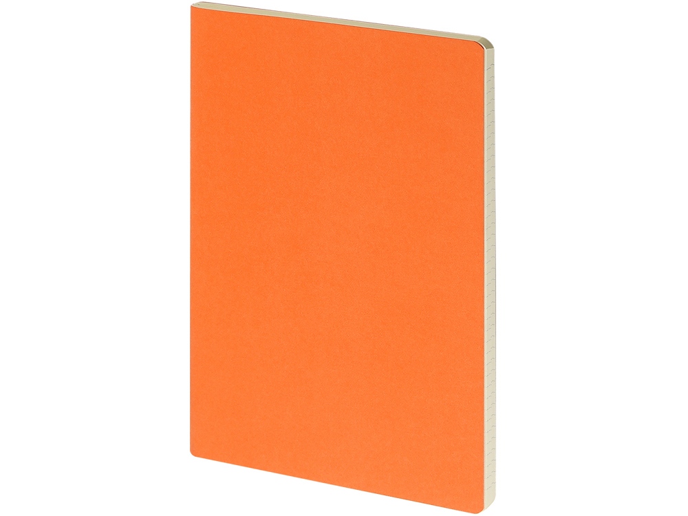 Бизнес тетрадь А5 Pragmatic, 40 листов в клетку, оранжевый-0