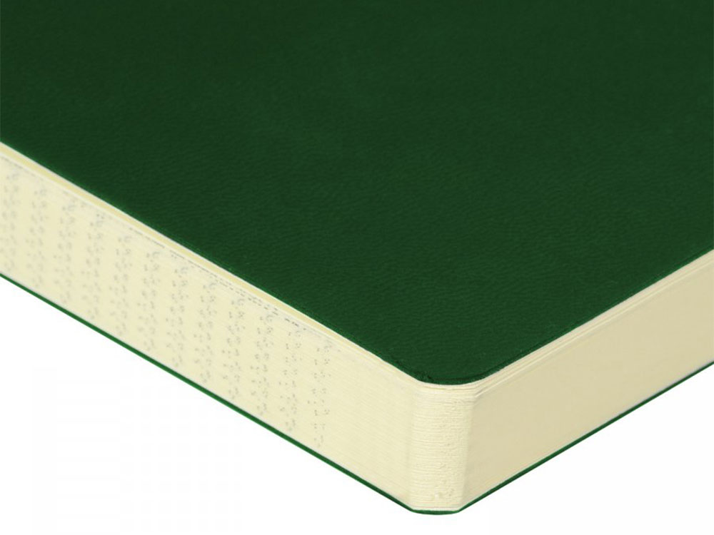 ЕЖЕДНЕВНИК недатированный А5- MEGAPOLIS FLEX QUATTRO (ЗЕЛЕНЫЙ)-2