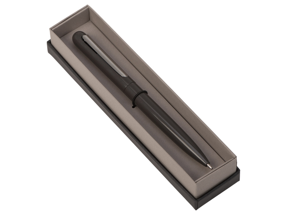 Ручка в футляре Blooming Skate, серый-1