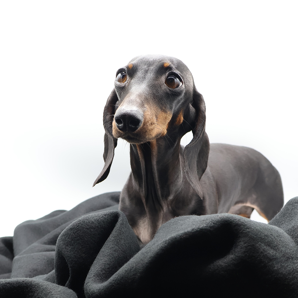 Плед PATIO, Черный-3