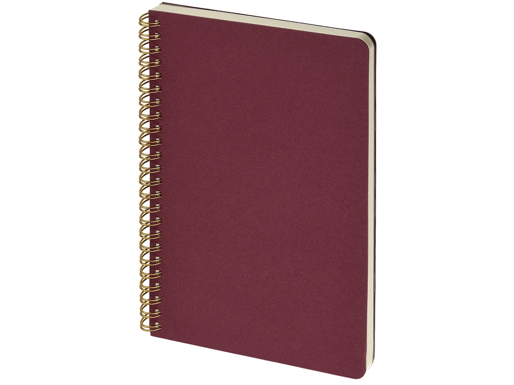 Бизнес тетрадь на гребне А5 Pragmatic, 60 листов в клетку, бордовый-0