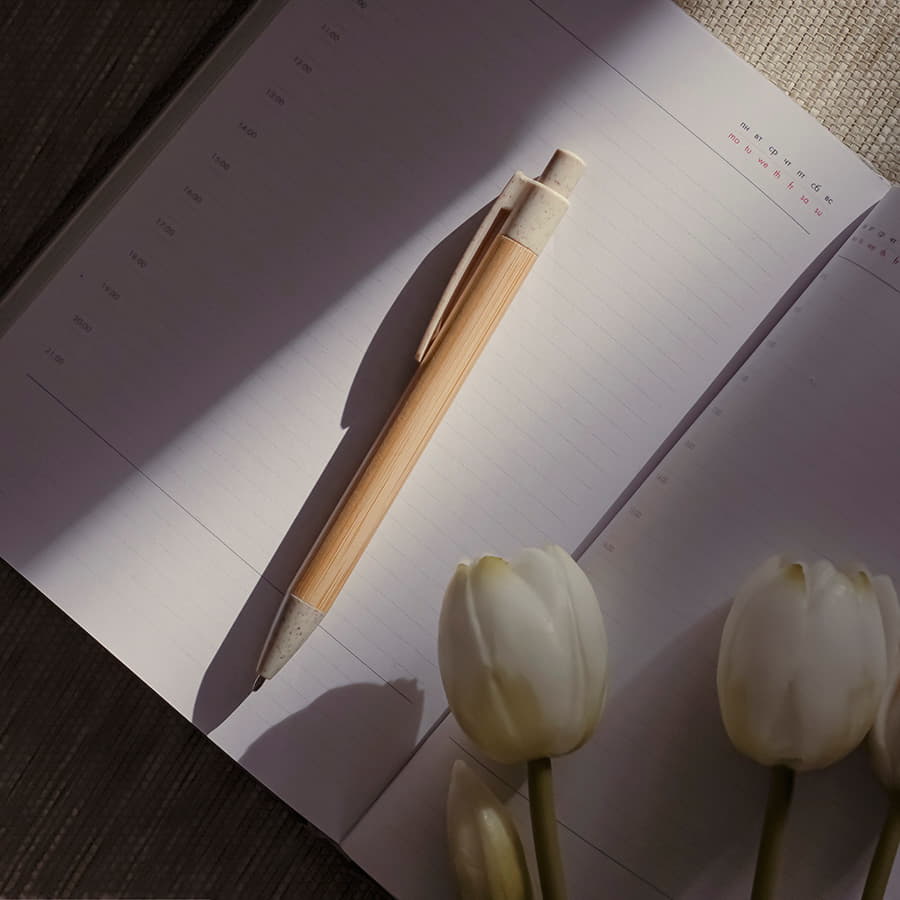 Ручка шариковая N17, зеленый-2