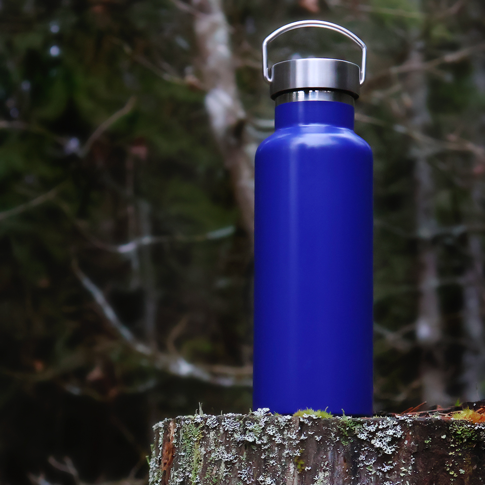 Термобутылка Sakura, Синий-3