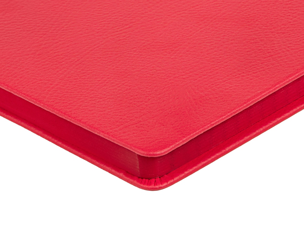 Ежедневник А5 датированный Megapolis Nappa на 2026, красный-5