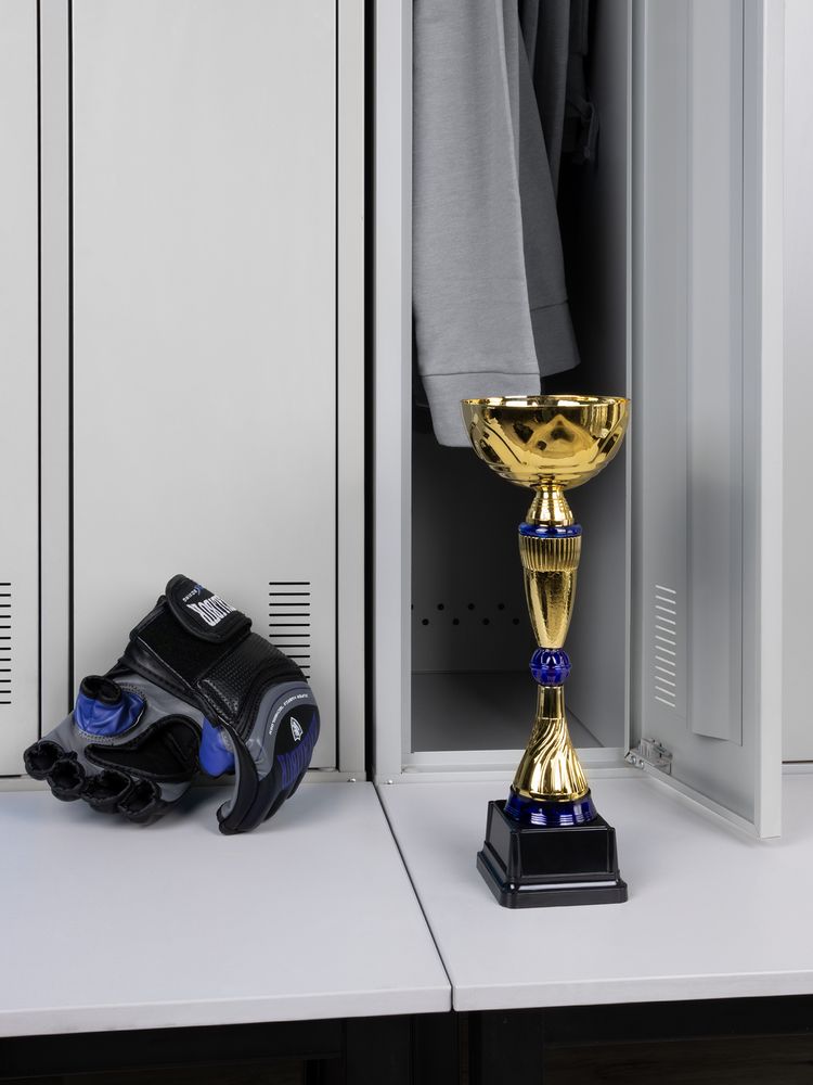 Кубок Awardee, средний, синий-3