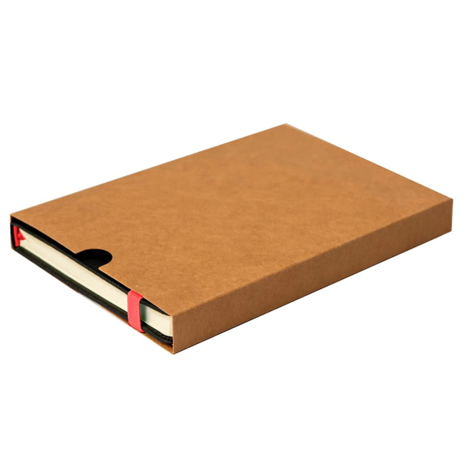 Ежедневник недатированный Ray, формат А5, в клетку, черный, красный-10