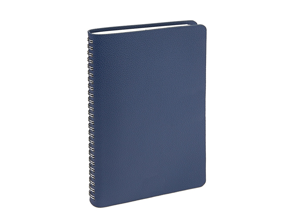 Ежедневник недатированный А5 Alba, синий-2