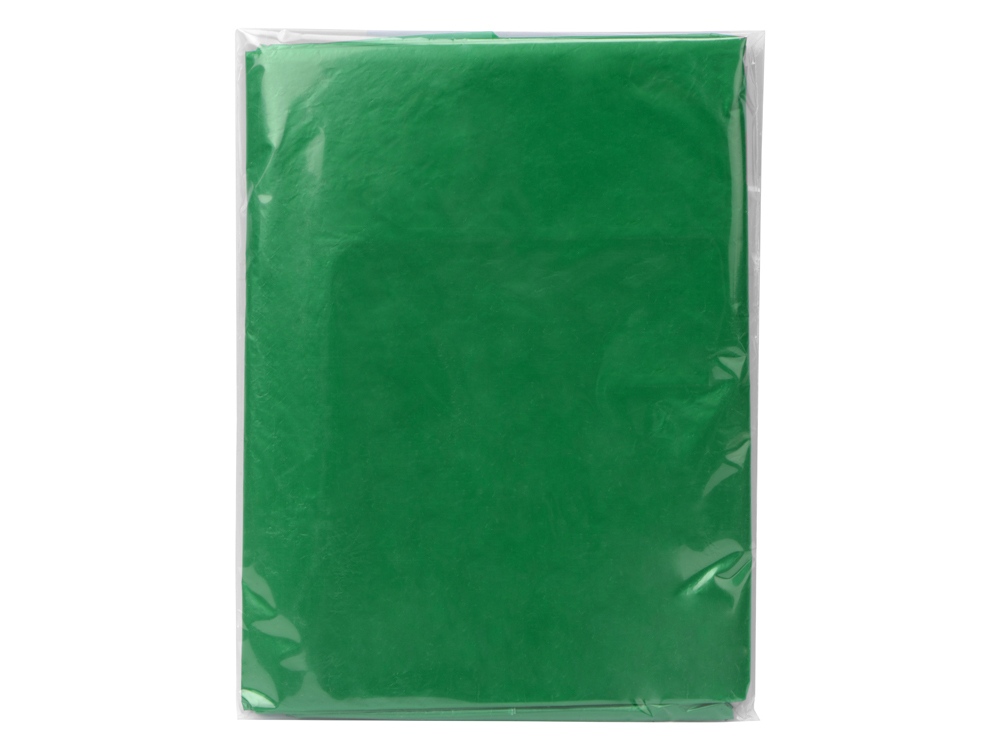 Дождевик Cloudy, зеленый-3