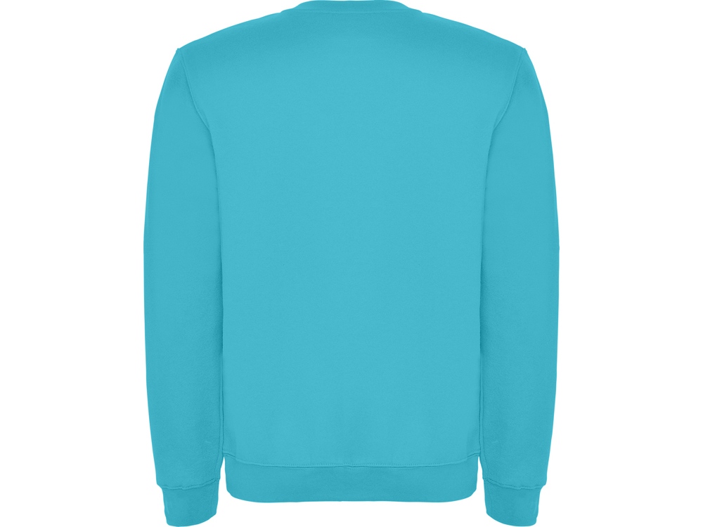 Свитшот с начесом Clasica унисекс, бирюзовый-1