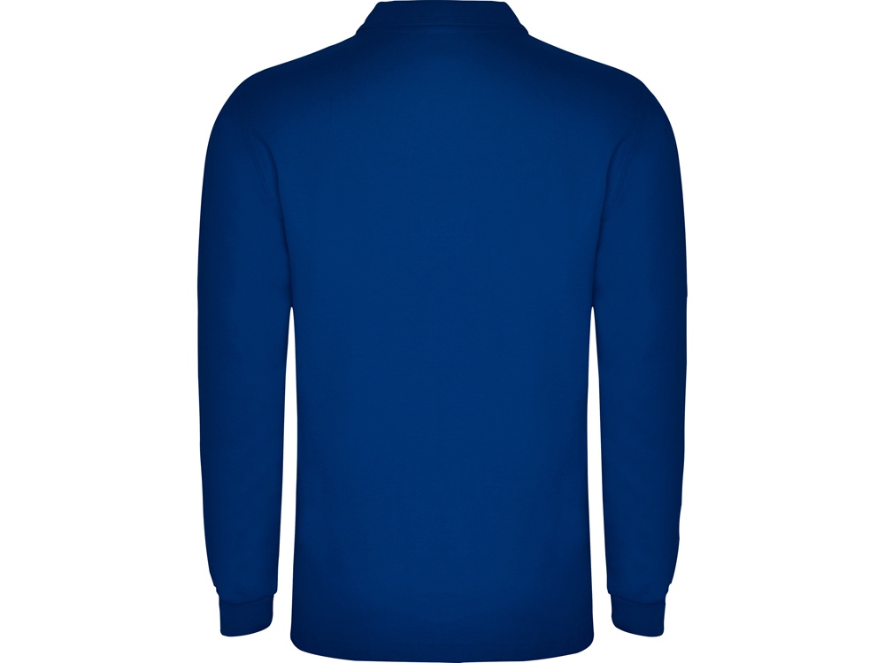 Рубашка поло Carpe мужская с длинным рукавом, королевский синий-1