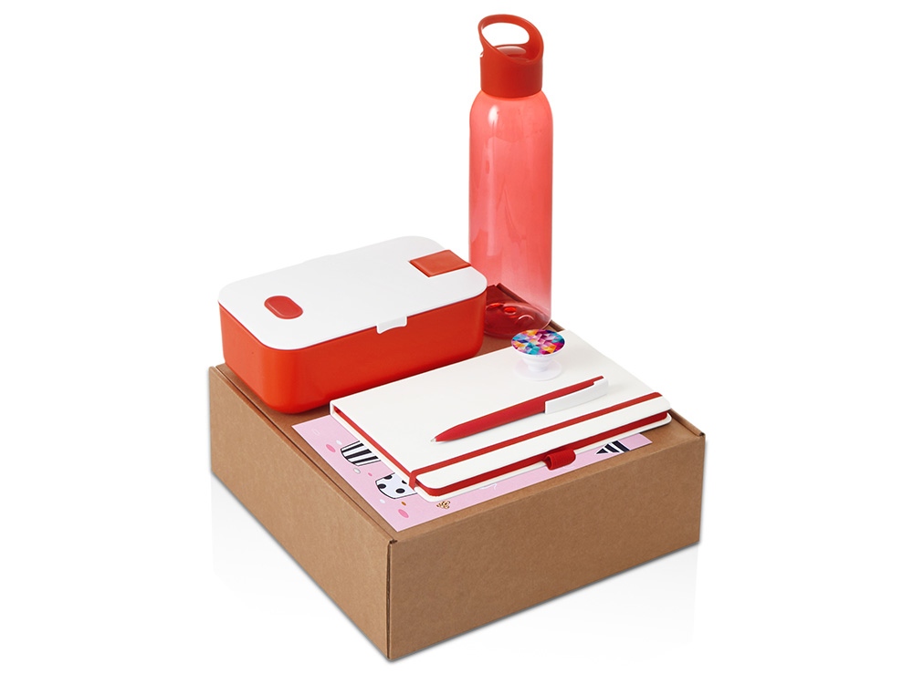 Подарочный набор с бутылкой для воды. блокнотом, ручкой и ланчбоксом, красный-0