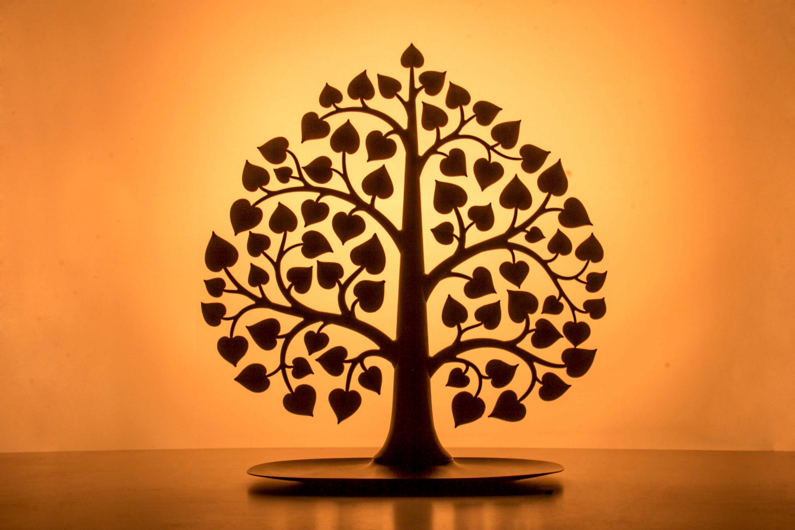 Декоративный органайзер для украшений Bodhi, Черный-1