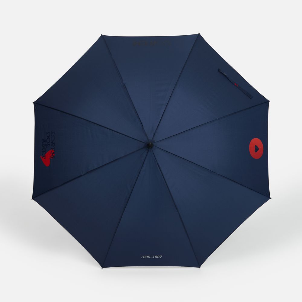 Зонт-трость Rainzee, темно-синий-5