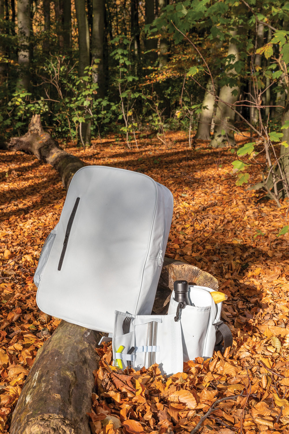 Набор столовых приборов в чехле Tierra-10