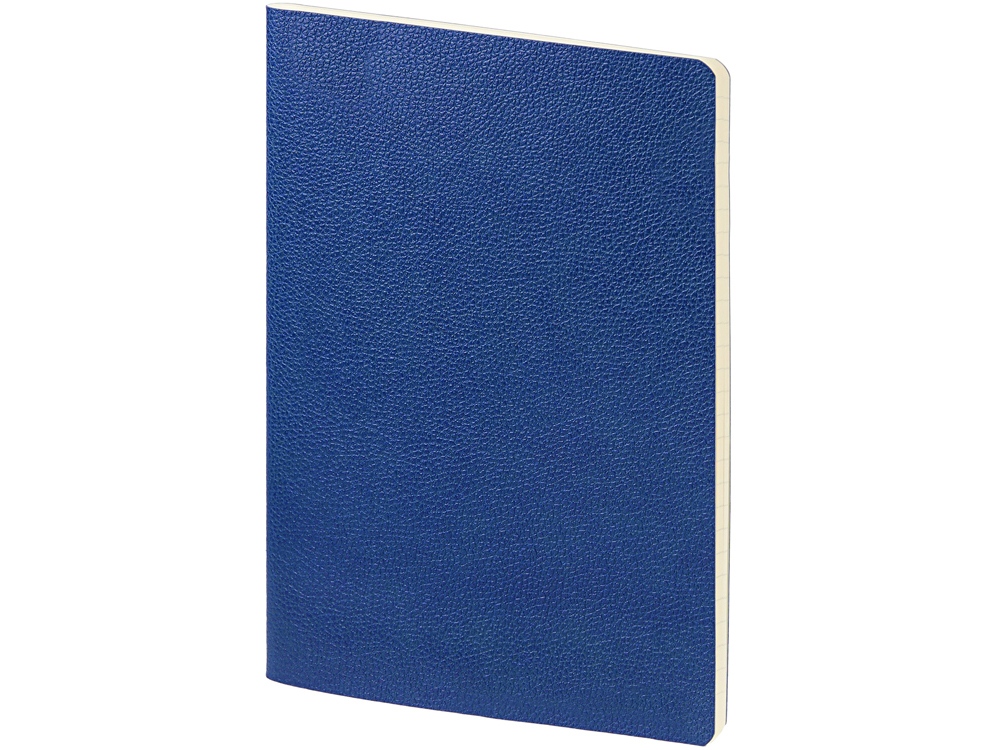 Бизнес-тетрадь А5 Megapolis Loft Flex 60 л., линейка, синий-0