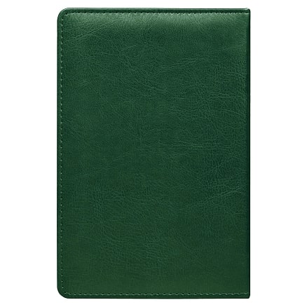 Ежедневник City Buffalino А5, Зелёный-2