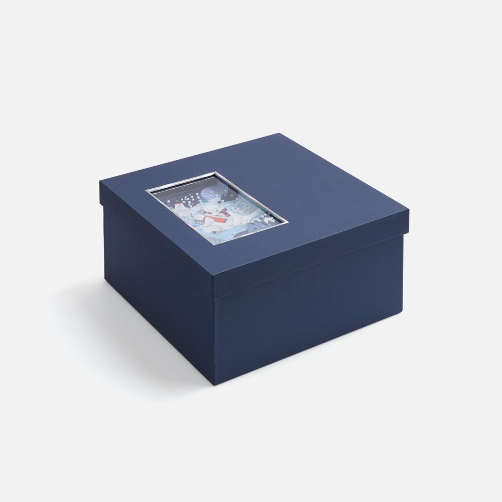 Коробка The Blue Bear, L-1