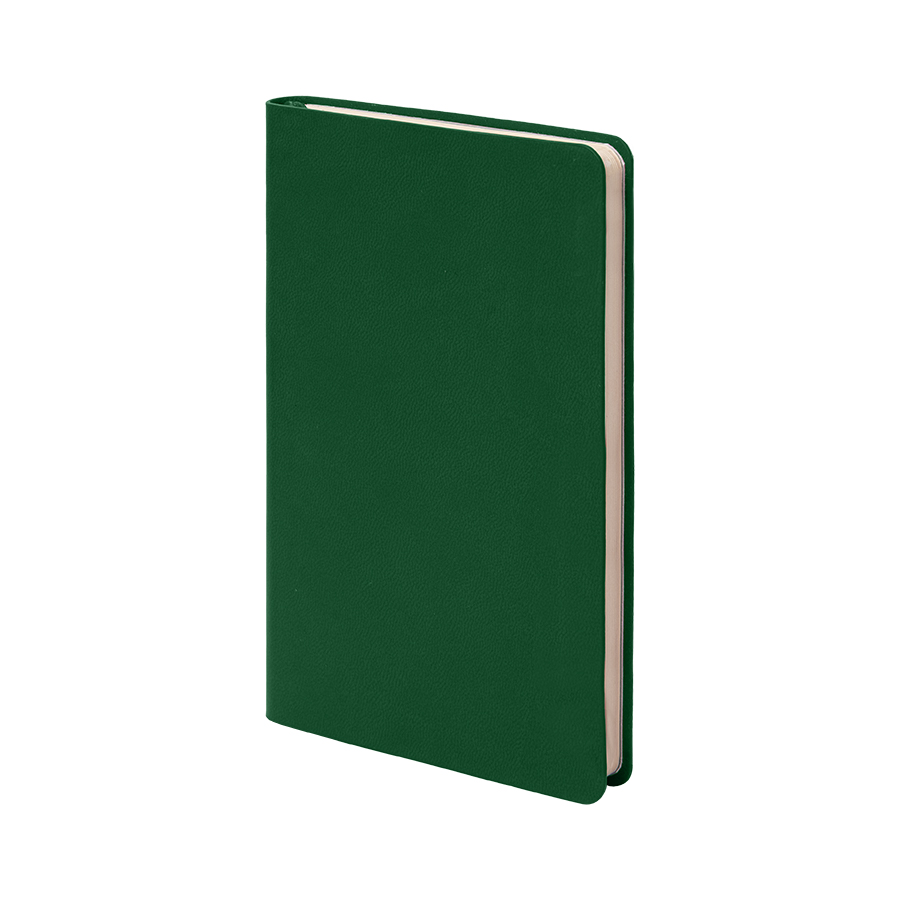 Бизнес-блокнот FUNKY, формат A6, в клетку, зеленый, серый-0