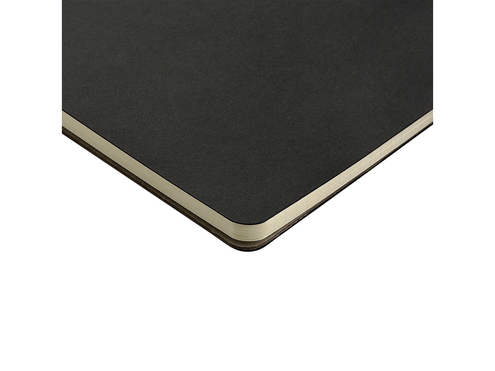 Бизнес тетрадь на гребне А5 Pragmatic, 60 листов в клетку, черный-3