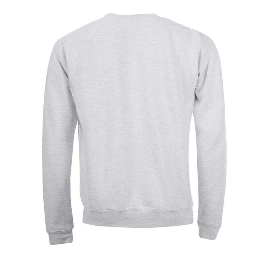 Толстовка свитшот SPIDER 260, светло-серый-5