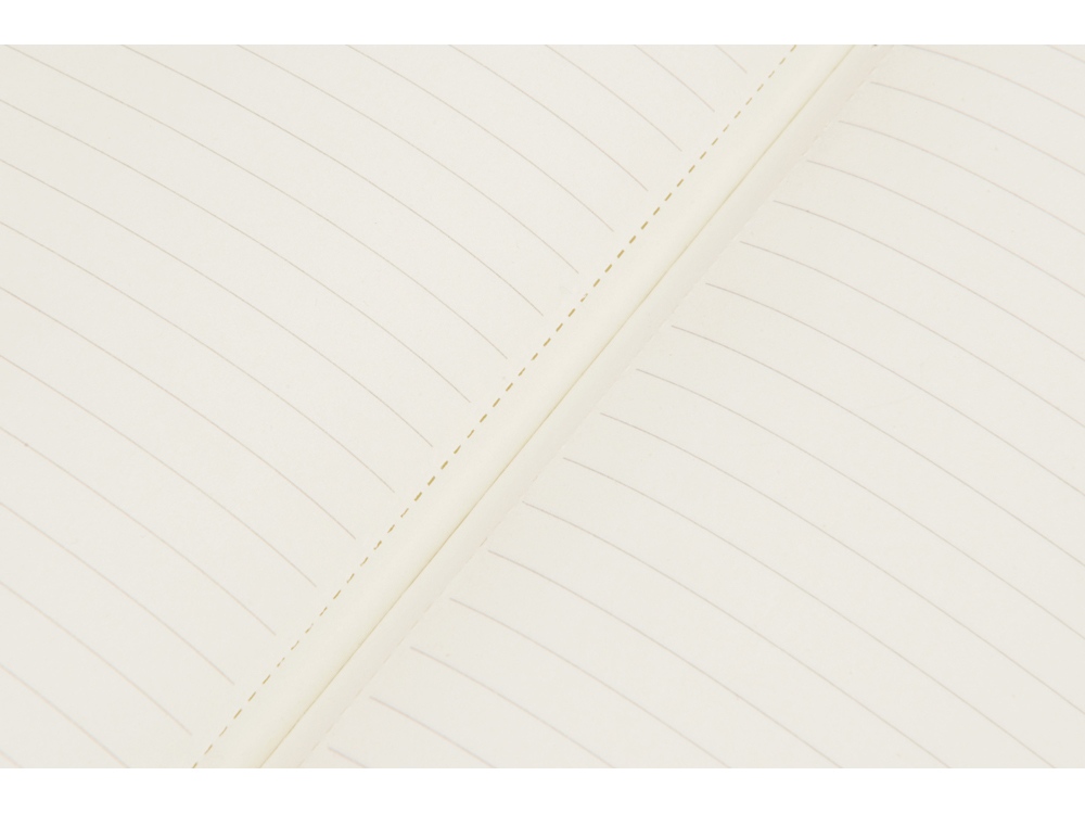 Блокнот Notepeno 130x205 мм с тонированными линованными страницами, черный-4