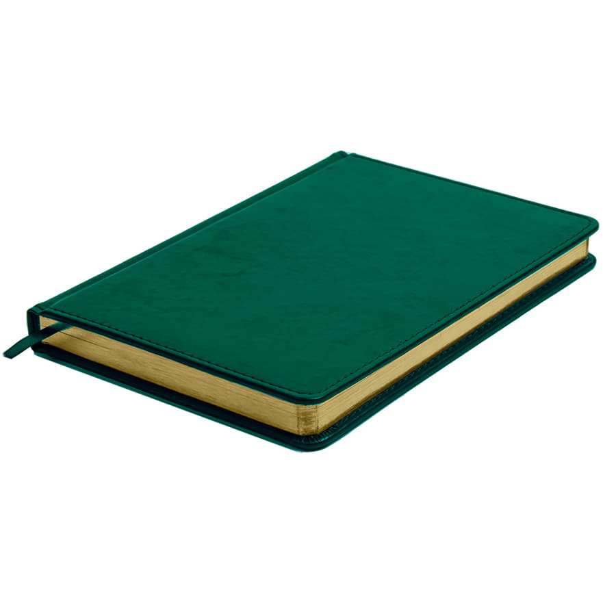 Ежедневник недатированный Joy, формат А5, в линейку, темно-зелёный-3