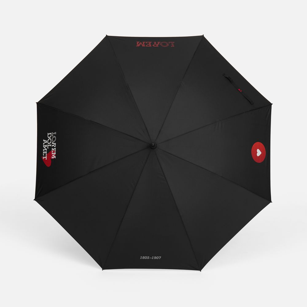 Зонт-трость Rainzee, ver.2, черный-3
