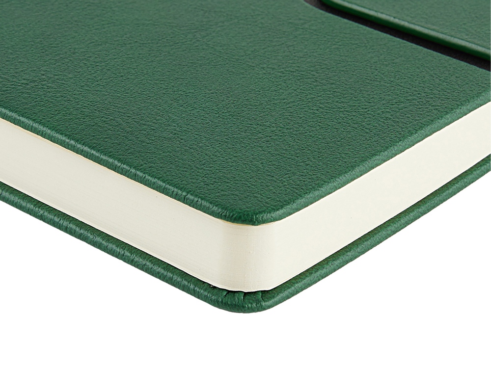 Ежедневник недатированный А5 Status, зеленый-4