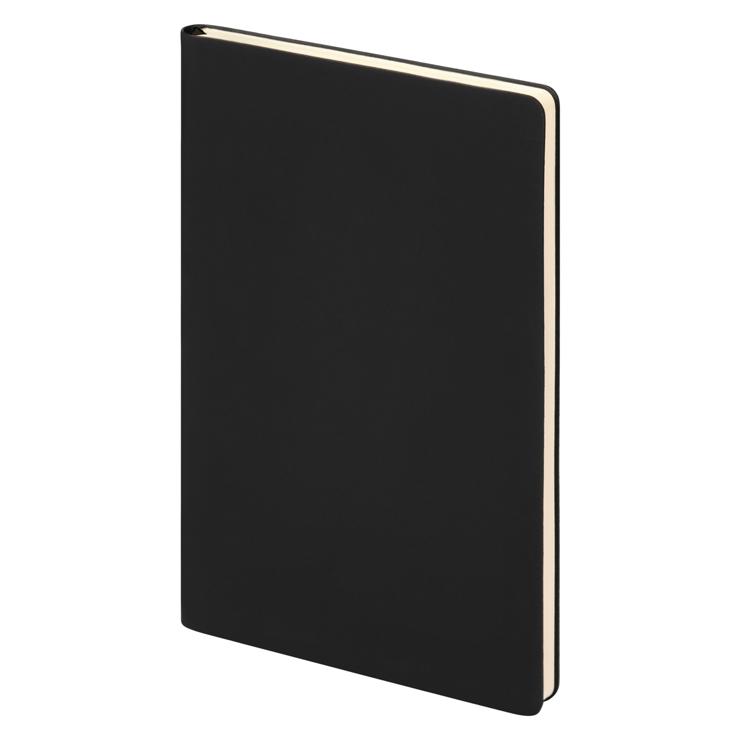 Ежедневник Спарк (Spark) недатированный, черный (с упаковкой, со стикерами)-1