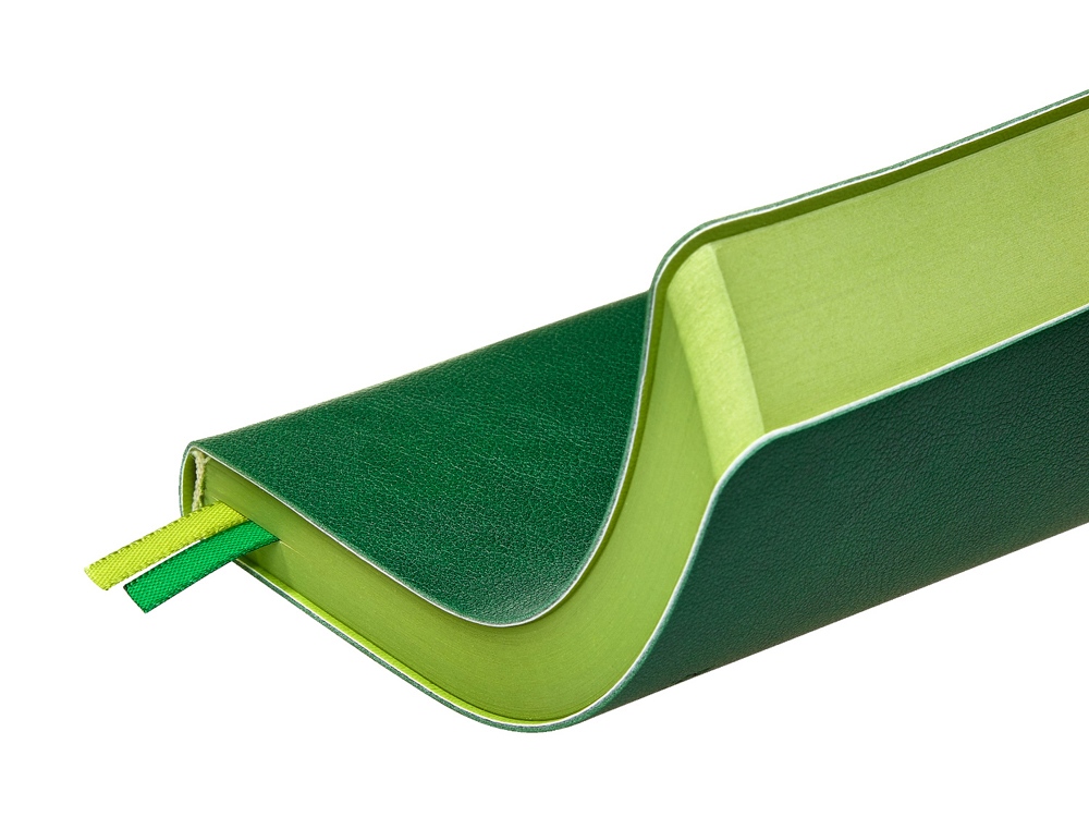 Ежедневник А5 датированный Boston 2026, зеленый с салатовым обрезом-5