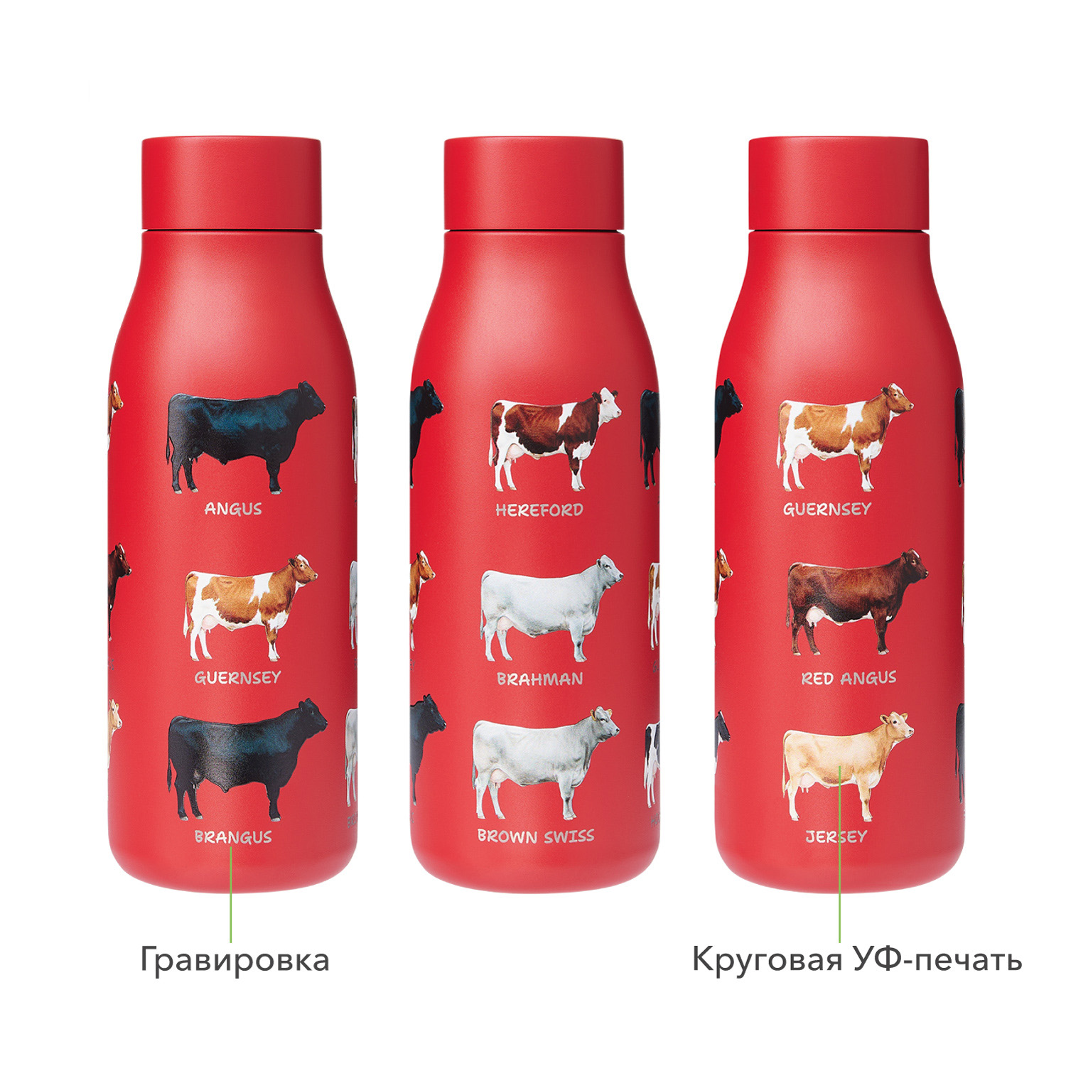 Термобутылка вакуумная герметичная Севилла, красная-10