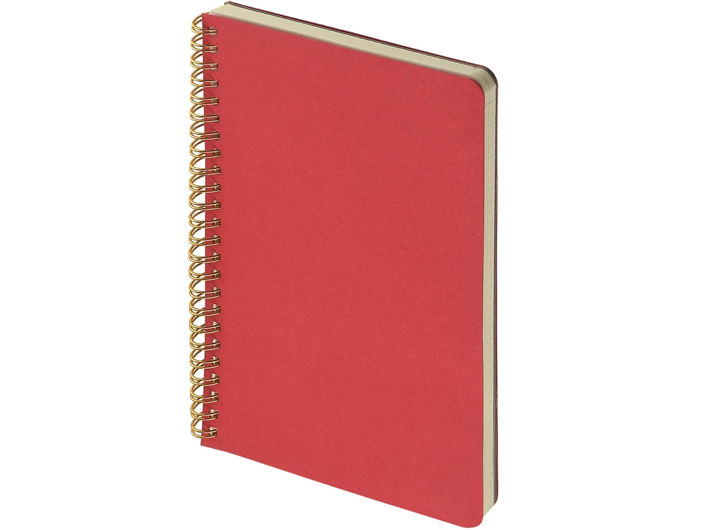 Бизнес тетрадь на гребне А5 Pragmatic, 60 листов в клетку, красный-0
