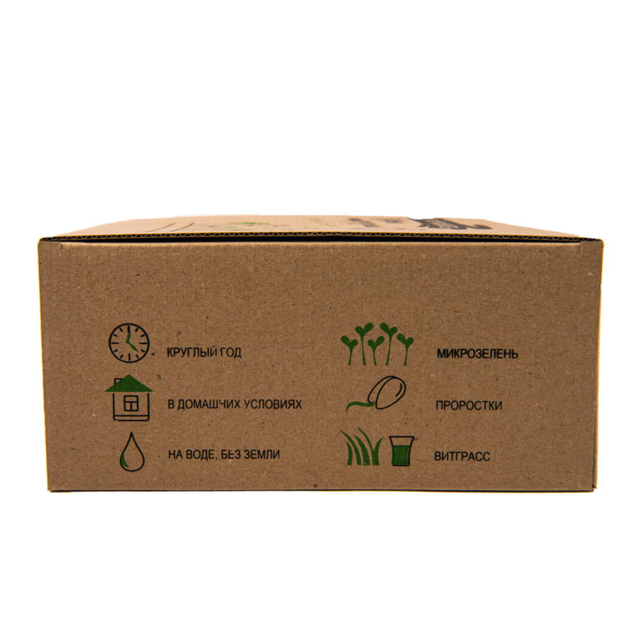 Проращиватель "Моя микрозелень", зеленый, белый-3