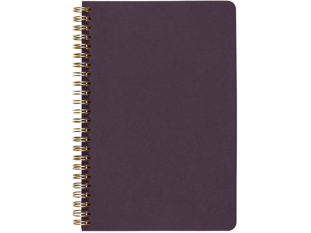 Бизнес тетрадь на гребне А5 Pragmatic, 60 листов в клетку, фиолетовый-1