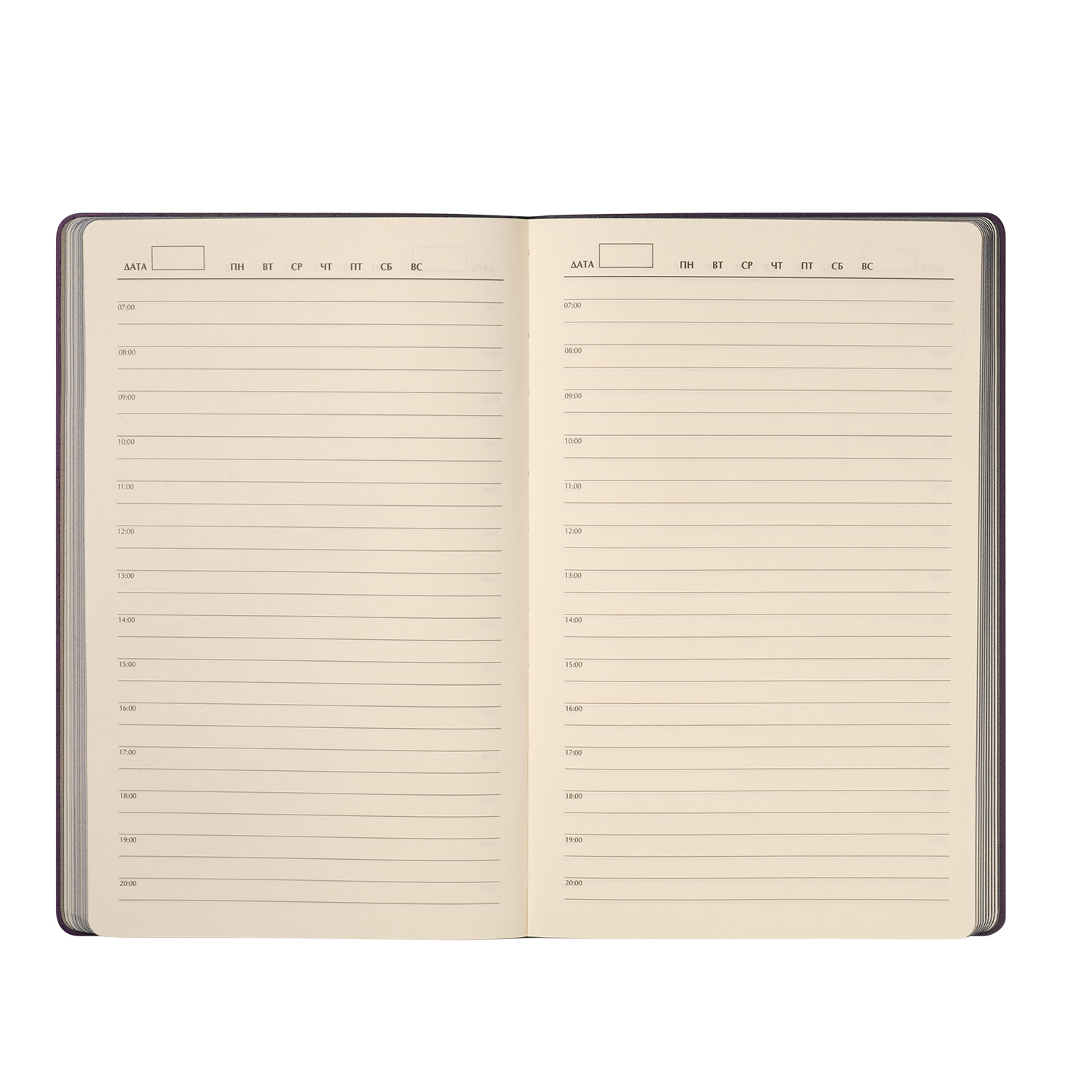 Ежедневник Рейн (Rain) недатированный, фиолетовый (без упаковки, без стикера)-8