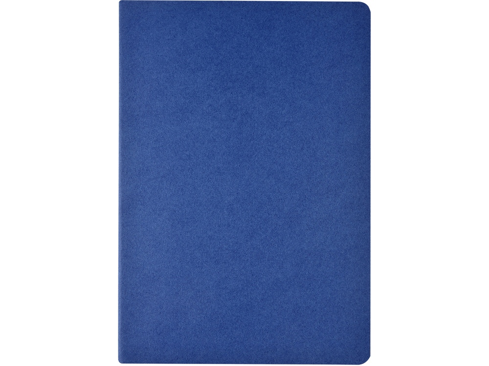 Бизнес-тетрадь А4 Pragmatic,  40л., клетка, синий-1