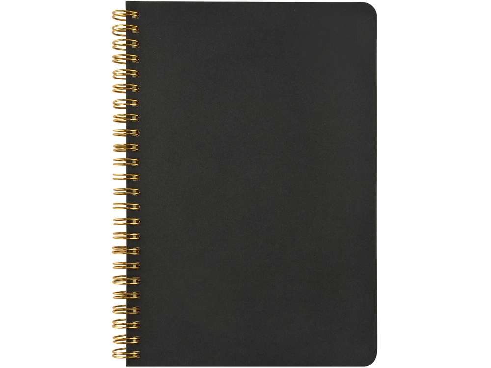 Бизнес тетрадь на гребне А5 Pragmatic, 60 листов в клетку, черный-1