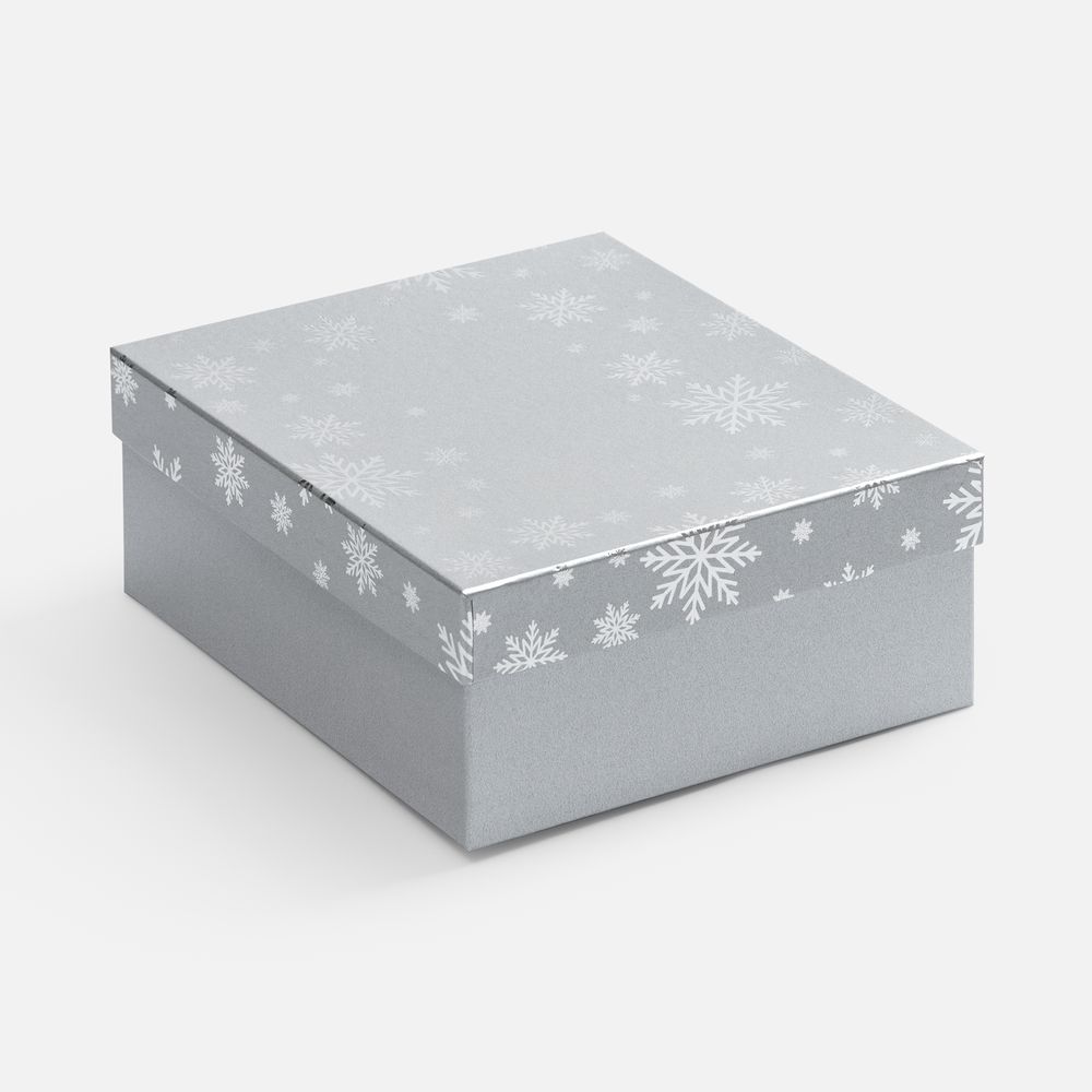 Коробка Wintry, серебристая-0