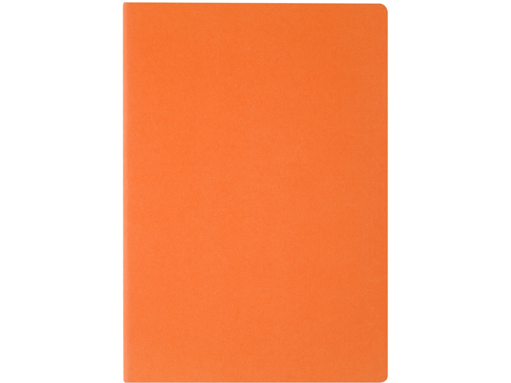 Бизнес тетрадь А5 Pragmatic, 40 листов в клетку, оранжевый-1