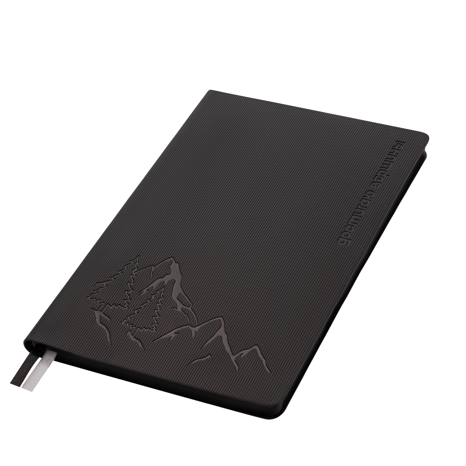 Ежедневник Рейн (Rain) недатированный, черный (без упаковки, без стикера)-12