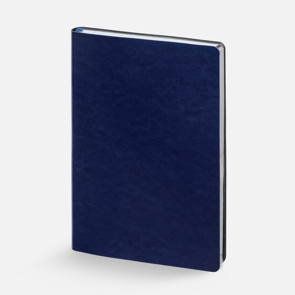 Ежедневник Nebraska Flex, недатированный, синий с серебром-1