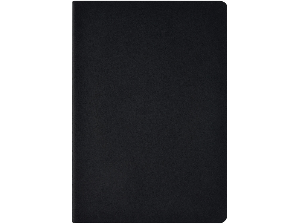 Бизнес тетрадь А5 Pragmatic, 40 листов в клетку, черный-1