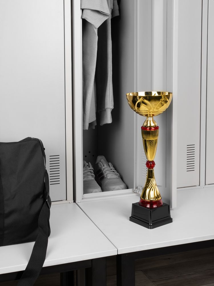 Кубок Awardee, большой, красный-3