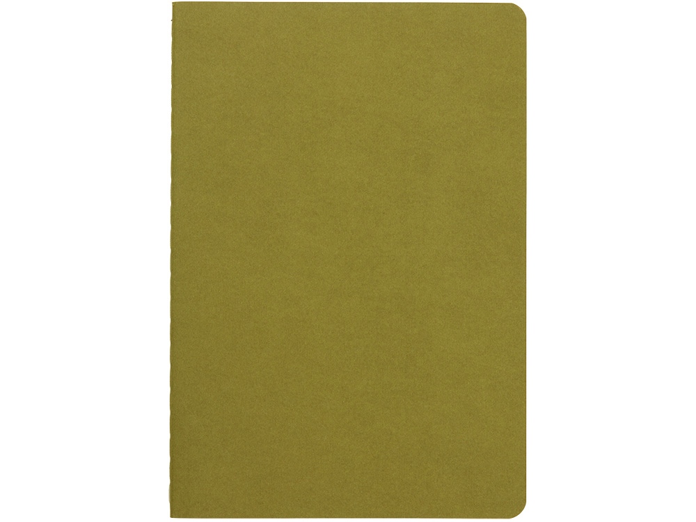 Бизнес тетрадь А5 Pragmatic, 40 листов в клетку, зеленый хаки-1