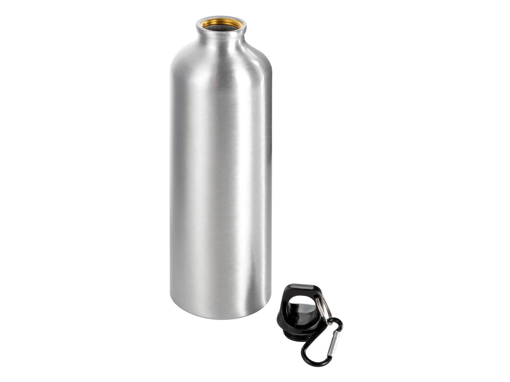 Бутылка Hip M с карабином, 770 мл, серебристый-1