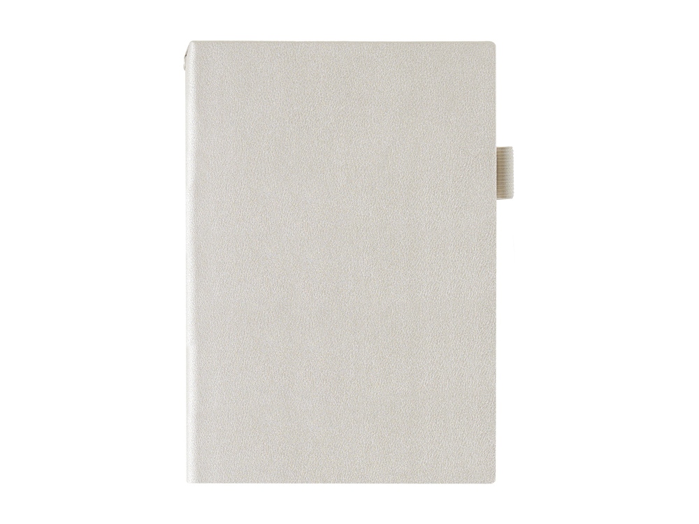 Ежедневник недатированный А5 Grand, серебро-3